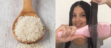 Arroz y sábila: Ingredientes del acondicionador natural que hidratará y suavizará tu cabello Arroz y sábila: Ingredientes del acondicionador natural que hidratará y suavizará tu cabello