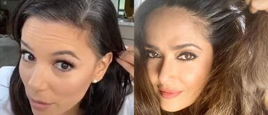 Canas blancas: Las grandes protagonistas de la cuarentena entre las famosas Canas blancas: Las grandes protagonistas de la cuarentena entre las famosas