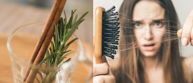 Miel, canela y romero: Ingredientes que impulsan el crecimiento capilar y tapan las canas Miel, canela y romero: Ingredientes que impulsan el crecimiento capilar y tapan las canas