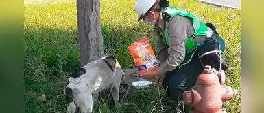 Policía frena sus labores para alimentar a un perro sin hogar durante la cuarentena Policía frena sus labores para alimentar a un perro sin hogar durante la cuarentena