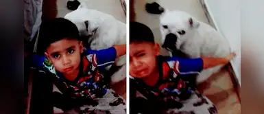 Niño prohíbe que su mamá maltrate a su perro: “No le pegues, es como mi hermanito” Niño prohíbe que su mamá maltrate a su perro: “No le pegues, es como mi hermanito”
