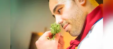 ¿Por qué la infección del coronavirus provoca la pérdida del olfato y el gusto? ¿Por qué la infección del coronavirus provoca la pérdida del olfato y el gusto?