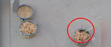 Vecinos de Chiclayo denuncian que recibieron latas de atún con gusanos | VÍDEO Vecinos de Chiclayo denuncian que recibieron latas de atún con gusanos | VÍDEO