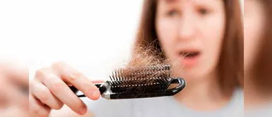 ¿Por qué se cae el cabello con más frecuencia en otoño? ¿Por qué se cae el cabello con más frecuencia en otoño?