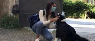 Perro y su mamá humana estuvieron separados por la cuarentena y su encuentro conmovió a miles Perro y su mamá humana estuvieron separados por la cuarentena y su encuentro conmovió a miles