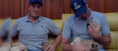 George Forsyth pide ayuda para que adopten a 11 cachorros: "Los han tirado" George Forsyth pide ayuda para que adopten a 11 cachorros: "Los han tirado"