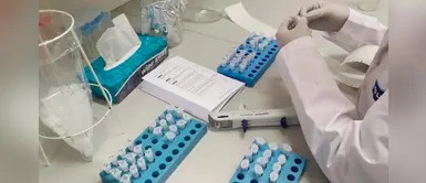 La hidroxicloroquina no es eficaz para tratar el coronavirus, aseguran dos estudios La hidroxicloroquina no es eficaz para tratar el coronavirus, aseguran dos estudios