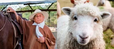 Hombre de 94 años pide ayuda por sus animales: "Sufren por falta de alimentos, agua y medicinas" Hombre de 94 años pide ayuda por sus animales: "Sufren por falta de alimentos, agua y medicinas"