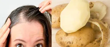 Cáscaras de papa: No las botes y prepara tu propio remedio para cubrir las canas del pelo Cáscaras de papa: No las botes y prepara tu propio remedio para cubrir las canas del pelo