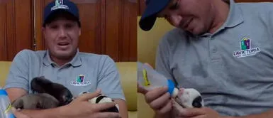 George Forsyth pide por perros abandonados: "Si no tienen cómo cuidarlos, déjenlos en nuestra central de serenazgo" George Forsyth pide por perros abandonados: "Si no tienen cómo cuidarlos, déjenlos en nuestra central de serenazgo"