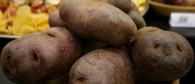 Día Nacional de la Papa: ¿Cuántas variedades existen en el Perú? Día Nacional de la Papa: ¿Cuántas variedades existen en el Perú?