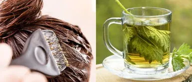 Tiñe tu cabello y acaba con las canas con este té de romero, ortiga y salvia Tiñe tu cabello y acaba con las canas con este té de romero, ortiga y salvia