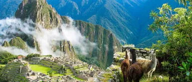 Día de la Diversidad Biológica: ¿Cuáles son las áreas naturales protegidas en Perú? Día de la Diversidad Biológica: ¿Cuáles son las áreas naturales protegidas en Perú?