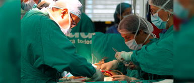 Día del Donante de Órganos y Tejidos: Más 7 mil pacientes esperan trasplante para seguir viviendo Día del Donante de Órganos y Tejidos: Más 7 mil pacientes esperan trasplante para seguir viviendo