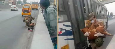 Valiente marino arriesga su vida y lleva en brazos a perro atropellado durante cuarentena Valiente marino arriesga su vida y lleva en brazos a perro atropellado durante cuarentena
