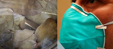 Dr. Elmer Huerta revela si la medicina natural como el eucalipto combate el coronavirus Dr. Elmer Huerta revela si la medicina natural como el eucalipto combate el coronavirus