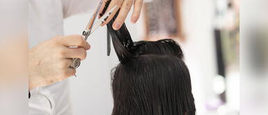 Servicio de peluquería a domicilio: Este es el 'kit de protección' que deben llevar Servicio de peluquería a domicilio: Este es el 'kit de protección' que deben llevar