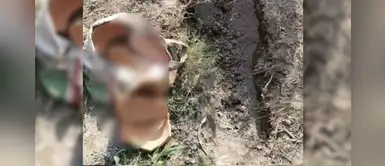 Padres entierran viva por error a su bebé recién nacida Padres entierran viva por error a su bebé recién nacida