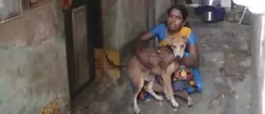 Mujer se quedó sin ingresos y solo come una vez al día para alimentar a sus 13 perros Mujer se quedó sin ingresos y solo come una vez al día para alimentar a sus 13 perros