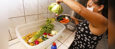 ¿Por qué es malo limpiar los alimentos con lejía y qué productos usar para reemplazarla? ¿Por qué es malo limpiar los alimentos con lejía y qué productos usar para reemplazarla?