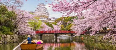 ¿Qué países “pagarán” a turistas para que los visiten tras crisis por coronavirus? ¿Qué países “pagarán” a turistas para que los visiten tras crisis por coronavirus?