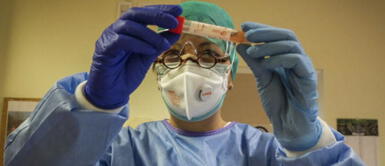 Descubren que el SARS-CoV-2 usa la misma táctica del VIH para evadir el ataque del sistema inmune Descubren que el SARS-CoV-2 usa la misma táctica del VIH para evadir el ataque del sistema inmune