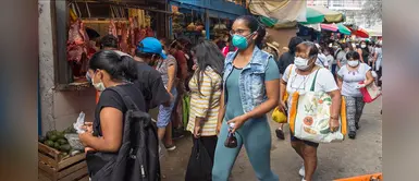 Ica se convertiría en el epicentro de la COVID-19: "Superaría los 15 mil positivos" Ica se convertiría en el epicentro de la COVID-19: "Superaría los 15 mil positivos"