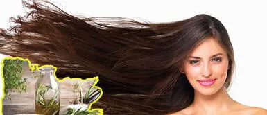 Cabello siempre sano: prepara remedios caseros con estas plantas medicinales Cabello siempre sano: prepara remedios caseros con estas plantas medicinales