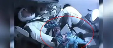¿Por qué había un dinosaurio de peluche en el lanzamiento de SpaceX? ¿Por qué había un dinosaurio de peluche en el lanzamiento de SpaceX?