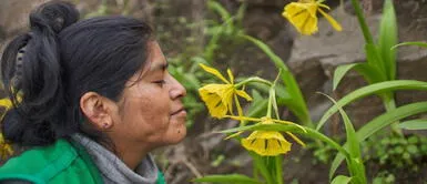 Tradicional Festividad de Amancaes regresa luego de 70 años de ausencia Tradicional Festividad de Amancaes regresa luego de 70 años de ausencia