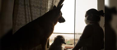 ¿Cómo afecta el estrés a la salud digestiva durante cuarentena? Gastroenterólogo explica ¿Cómo afecta el estrés a la salud digestiva durante cuarentena? Gastroenterólogo explica