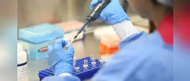 Clínicas privadas cobraron más de S/ 400 por pruebas moleculares cuando INS las daba gratis Clínicas privadas cobraron más de S/ 400 por pruebas moleculares cuando INS las daba gratis