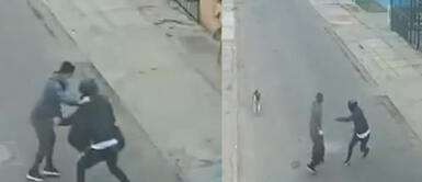 Valiente perro salva a hombre de ser asaltado y se convierte en héroe en las redes sociales Valiente perro salva a hombre de ser asaltado y se convierte en héroe en las redes sociales