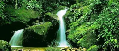 Reserva de Biósfera Oxapampa celebra 10 años de reconocimiento mundial Reserva de Biósfera Oxapampa celebra 10 años de reconocimiento mundial