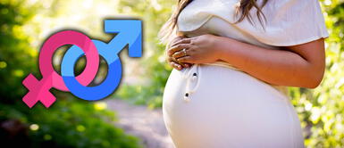 Especialistas revelan método para conocer el sexo del bebé sin ecografía Especialistas revelan método para conocer el sexo del bebé sin ecografía