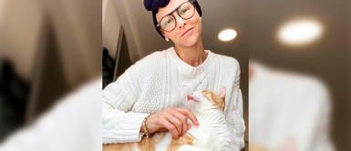 Anahí de Cárdenas brinda poderoso mensaje sobre la adopción de mascotas durante cuarentena Anahí de Cárdenas brinda poderoso mensaje sobre la adopción de mascotas durante cuarentena