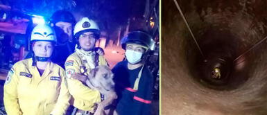 Bomberos salvan a perro que cayó a pozo de 30 metros y al salir los llenó a 'besos' Bomberos salvan a perro que cayó a pozo de 30 metros y al salir los llenó a 'besos'