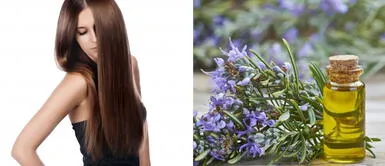 Caída del pelo: ¿Cómo preparar aceite de romero con solo dos ingredientes? Caída del pelo: ¿Cómo preparar aceite de romero con solo dos ingredientes?