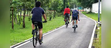 Carlota Pereyra: “Así tengamos las mejores ciclovías del mundo, sino mejoramos nuestra cultura vial igual matarán a la gente” Carlota Pereyra: “Así tengamos las mejores ciclovías del mundo, sino mejoramos nuestra cultura vial igual matarán a la gente”