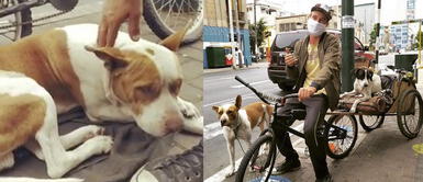 Joven se niega a volver a su país sin su 'familia': “A mis mascotas no las dejo” Joven se niega a volver a su país sin su 'familia': “A mis mascotas no las dejo”