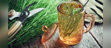 Prepara tu propio champú de cola de caballo para el crecimiento del cabello Prepara tu propio champú de cola de caballo para el crecimiento del cabello