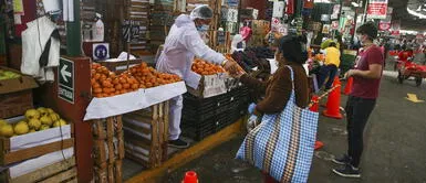 Coronavirus: Lima Metropolitana registra descenso de casos positivos Coronavirus: Lima Metropolitana registra descenso de casos positivos