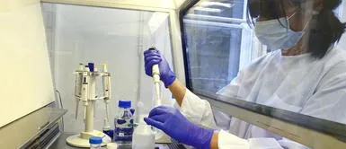 EE.UU. presiona a laboratorios para desarrollar la vacuna contra el coronavirus EE.UU. presiona a laboratorios para desarrollar la vacuna contra el coronavirus