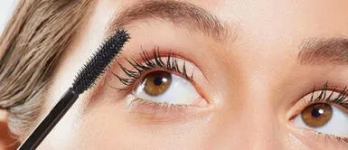 ¿Cómo usar aceite de almendras para crecer las pestañas en casa? ¿Cómo usar aceite de almendras para crecer las pestañas en casa?