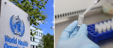 La OMS descarta desarrollo de vacuna contra el coronavirus en 2020 La OMS descarta desarrollo de vacuna contra el coronavirus en 2020