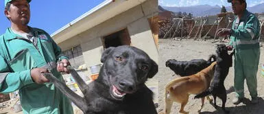 Conoce a Ángel, el hombre con el propósito más noble: salvar animales abandonados Conoce a Ángel, el hombre con el propósito más noble: salvar animales abandonados