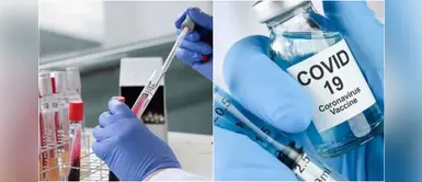 Rusia anuncia que producirá en septiembre una vacuna contra el coronavirus Rusia anuncia que producirá en septiembre una vacuna contra el coronavirus