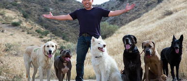 César Millán te brinda diez tips para educar a tu perro en casa César Millán te brinda diez tips para educar a tu perro en casa