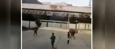 Áncash: Policías son grabados jugando fulbito en plena cuarentena | VÍDEO Áncash: Policías son grabados jugando fulbito en plena cuarentena | VÍDEO