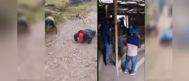 Ronderos castigan a sujetos por participar en pelea de gallos en pleno toque de queda Ronderos castigan a sujetos por participar en pelea de gallos en pleno toque de queda